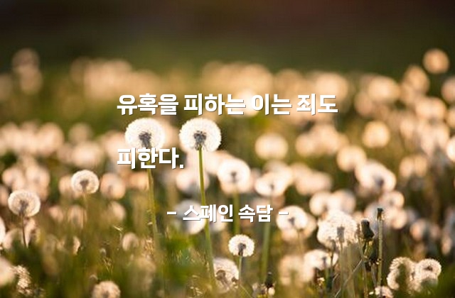 유혹, 죄(sin) – 스페인 속담