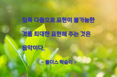 음악, 표현 – 올더스 헉슬리