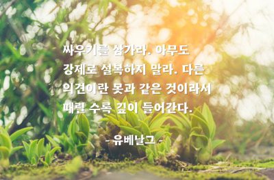 의견 – 유베날그