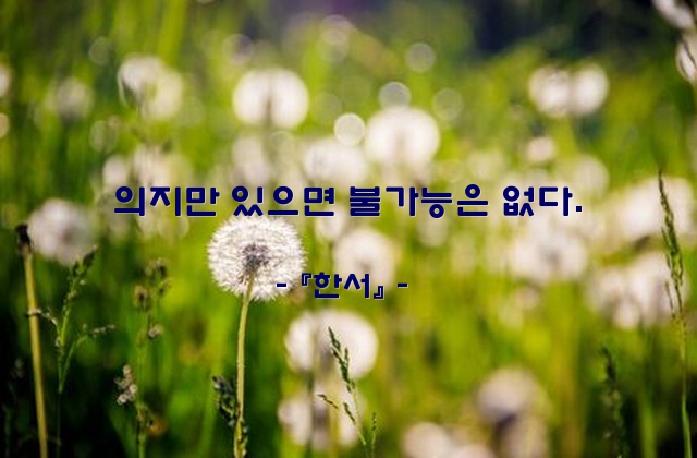 의지, 불가능 – 『한서』