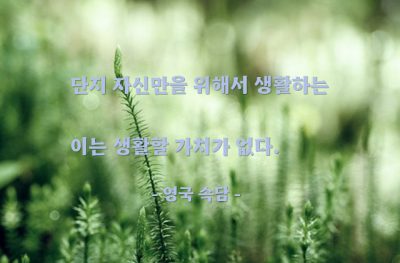 이기심 – 영국 속담