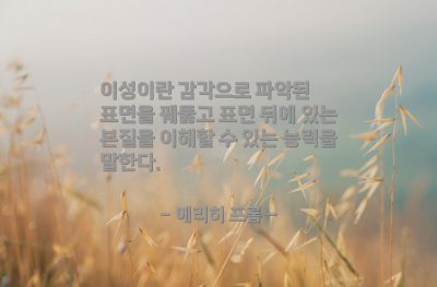 이성(reason), 감각 – 에리히 프롬