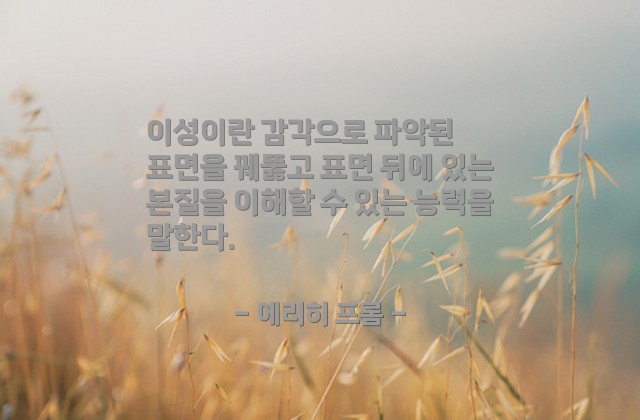 이성(reason), 감각 – 에리히 프롬