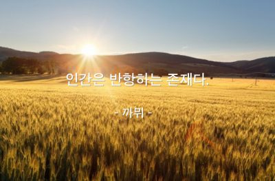 인간 – 까뮈