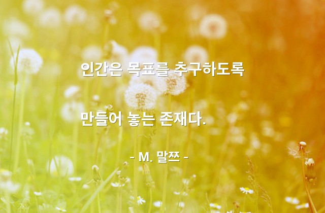 인간, 목표 – M. 말쯔