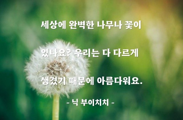 인간, 사람, 아름다움, 개성 – 닉 부이치치