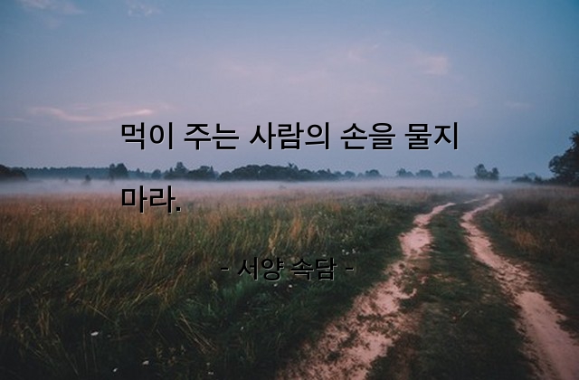 인간관계, 배신, 인생살이 – 서양 속담