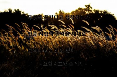 인격, 생각, 웃음 – 요한 볼프강 폰 괴테