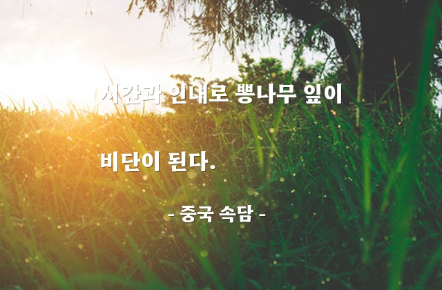 인내, 시간, 상전벽해 – 중국 속담