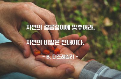 인내, 자연 – B. 디즈레일리