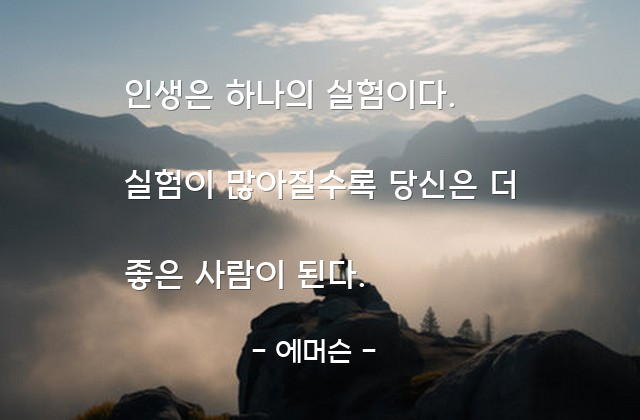 인생, 경험 – 에머슨