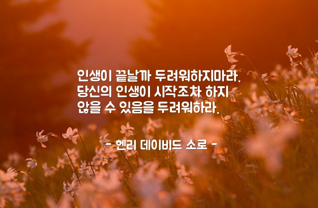 인생, 두려움, 시작 – 헨리 데이비드 소로