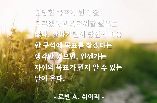 인생, 삶, 목표 – 로빈 A. 쉬어러