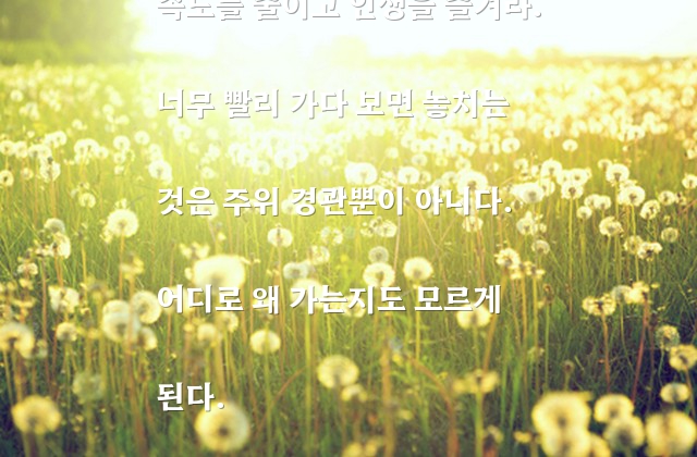 인생 – 에디 캔터