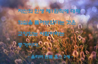 인생, 원칙 – 올리버 웬들 홈스 2세