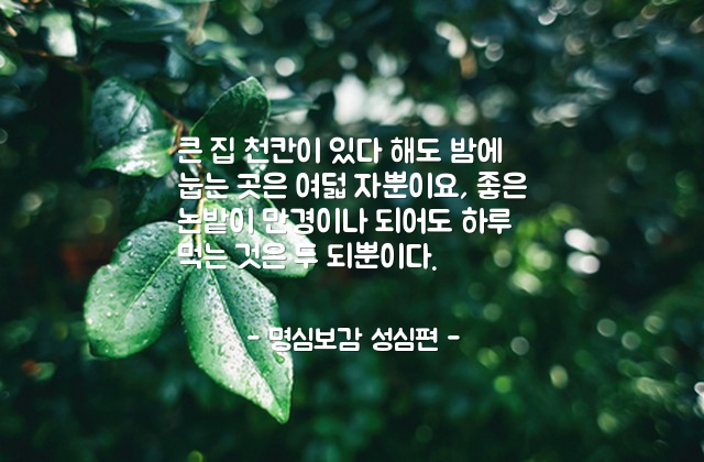 인생, 재산, 부(wealth) – 명심보감 성심편