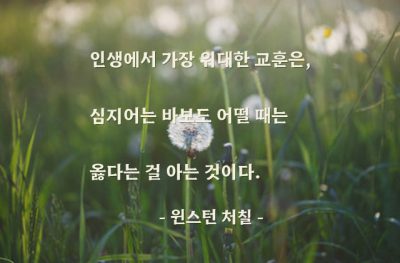 인생살이, 교훈 – 윈스턴 처칠