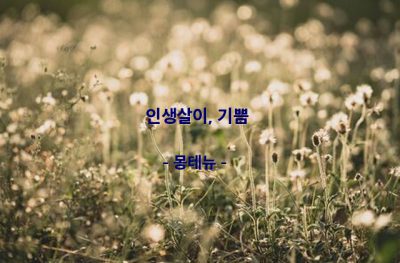 인생살이, 기쁨 – 몽테뉴