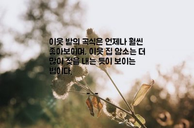 인생살이, 이웃, 비교