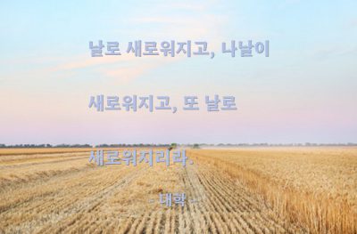 인생살이, 향상 – 대학