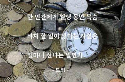 일(work), 직업, 사명, 행복, 기쁨 – 도법