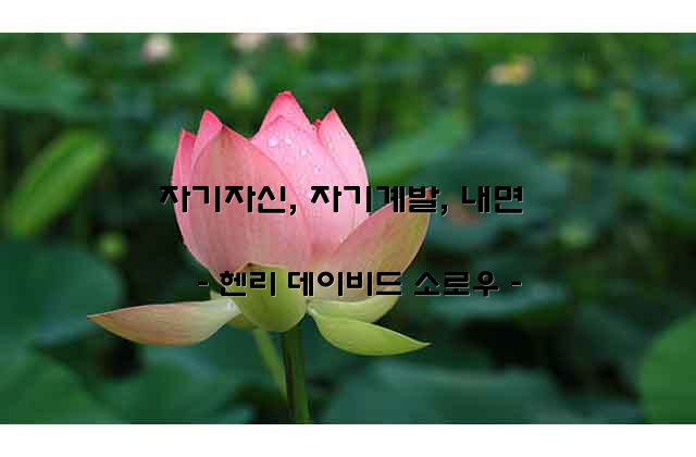 자기자신, 자기계발, 내면 – 헨리 데이비드 소로우