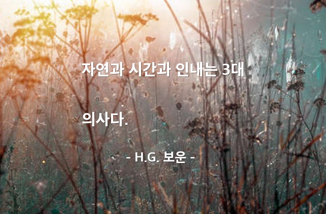 자연, 시간, 인내 – H.G. 보운