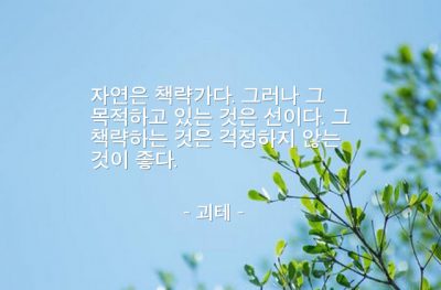 자연, 책략, 선(good) – 괴테