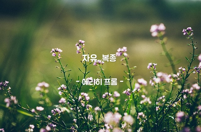 자유, 복종 – 에리히 프롬