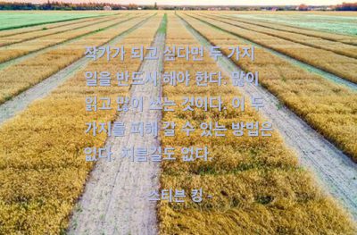 작가, 독서, 글쓰기 – 스티븐 킹