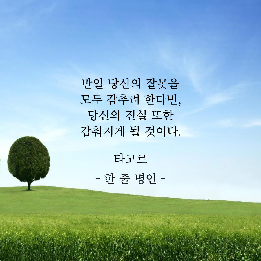 잘못을 모두 감추려 한다면