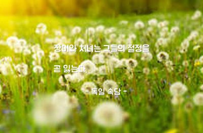 장미, 처녀, 여자, 아름다움 – 독일 속담