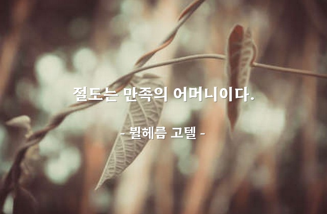 절도 – 뷜헤름 고텔