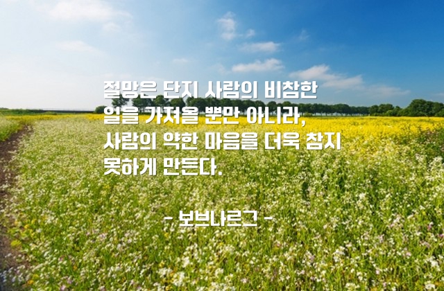 절망, 마음 – 보브나르그