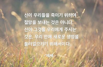 절망, 신(god) – 헤세