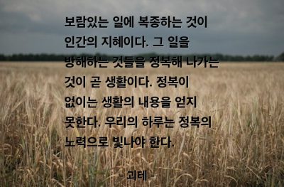 정복, 생활, 순간 – 괴테