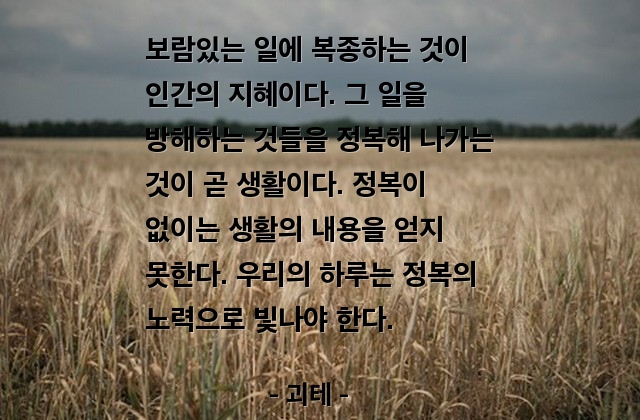 정복, 생활, 순간 – 괴테