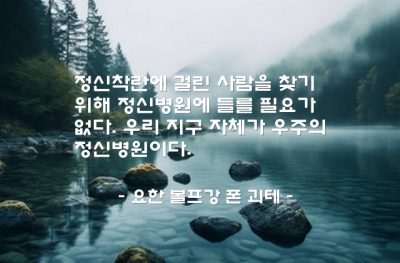 정신병원, 사람, 지구 – 요한 볼프강 폰 괴테