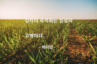 정치, 실정 – 메리엄