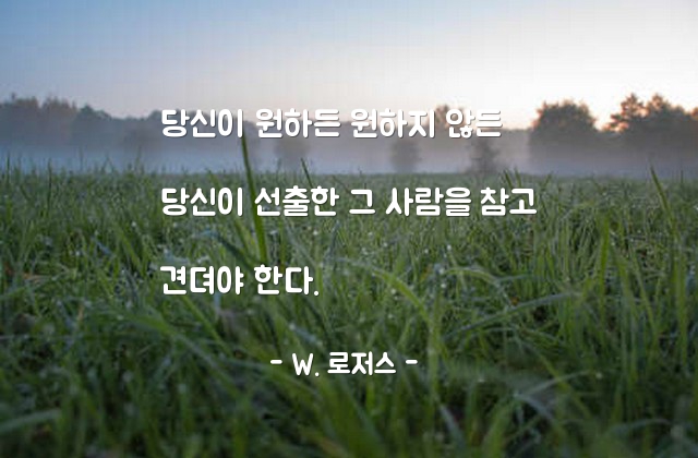 정치인, 선거 – W. 로저스