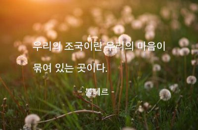 조국, 마음 – 볼테르