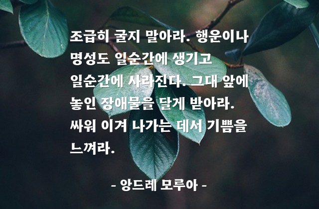 조급함, 행운, 명성, 인생살이 – 앙드레 모루아