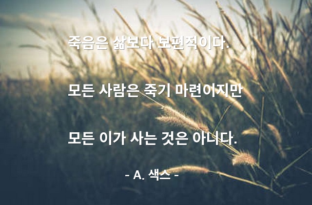 죽음, 삶 – A. 색스