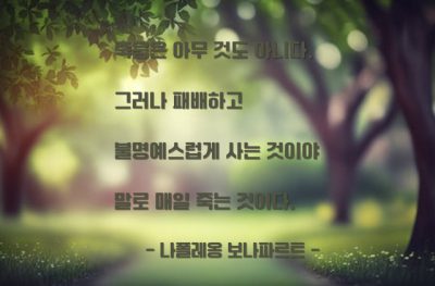 죽음, 패배, 불명예 – 나폴레옹 보나파르트