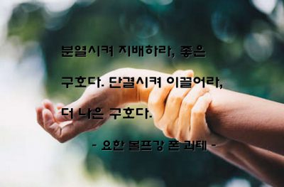 지배, 지도자, 리더, 정치 – 요한 볼프강 폰 괴테