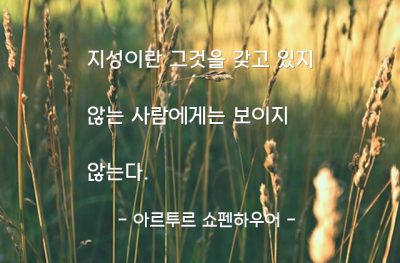 지성 – 아르투르 쇼펜하우어