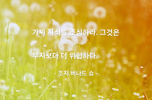 지식, 무지 – 조지 버나드 쇼