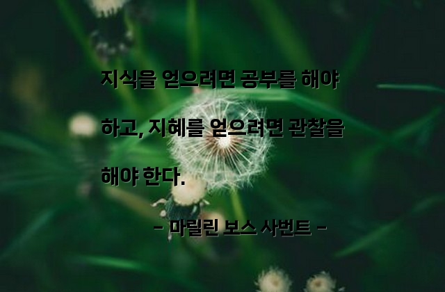 지식, 지혜 – 마릴린 보스 사번트