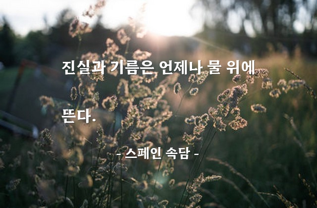 진실 – 스페인 속담