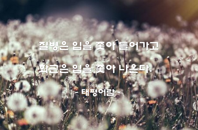 질병, 화근, 말(words) – 태평어람